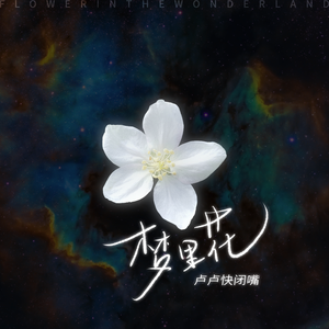 小女生隐藏配位
